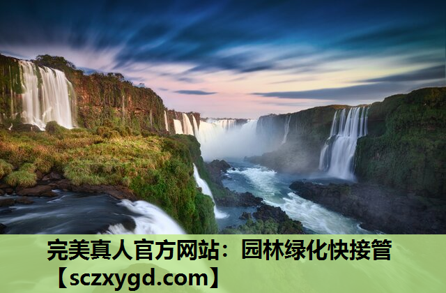完美真人官方网站：园林绿化快接管