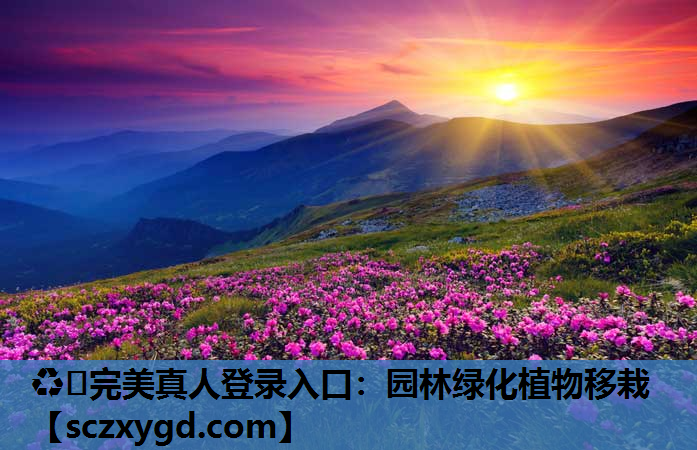 ♻️完美真人登录入口：园林绿化植物移栽