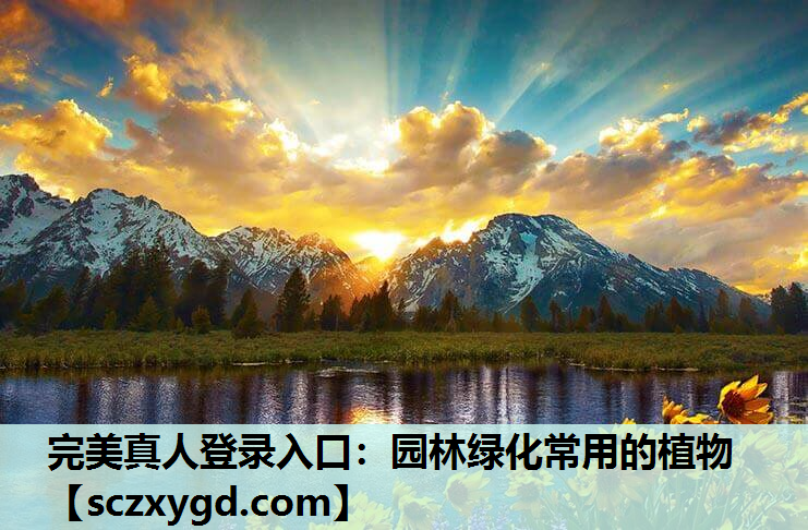 完美真人登录入口：园林绿化常用的植物