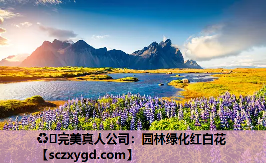 ♻️完美真人公司：园林绿化红白花