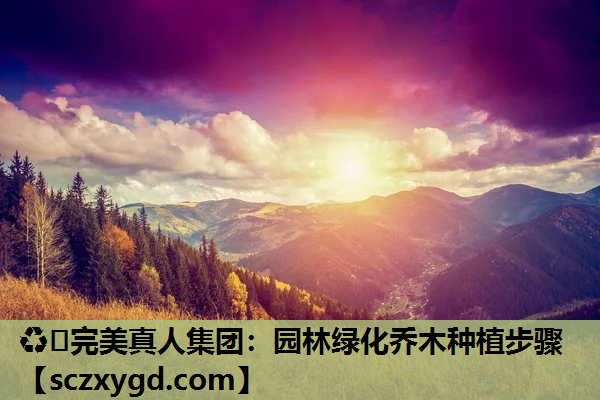♻️完美真人集团：园林绿化乔木种植步骤