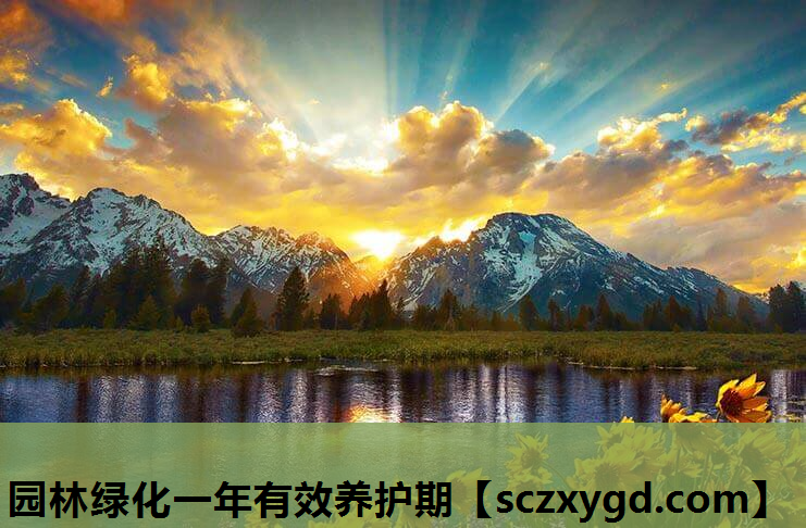 园林绿化一年有效养护期