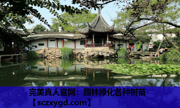 完美真人官网：园林绿化各种树苗