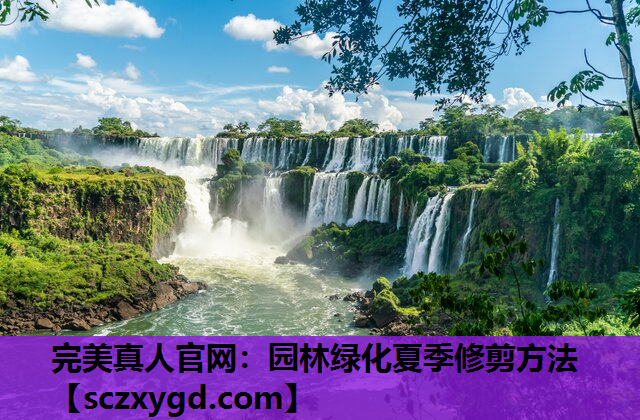完美真人官网：园林绿化夏季修剪方法