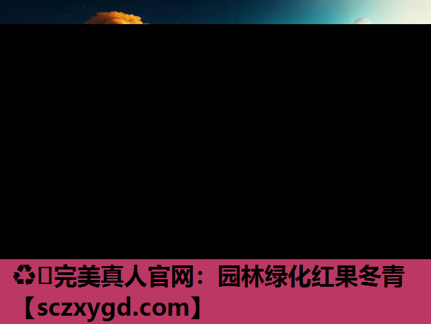 ♻️完美真人官网：园林绿化红果冬青