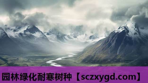 园林绿化耐寒树种