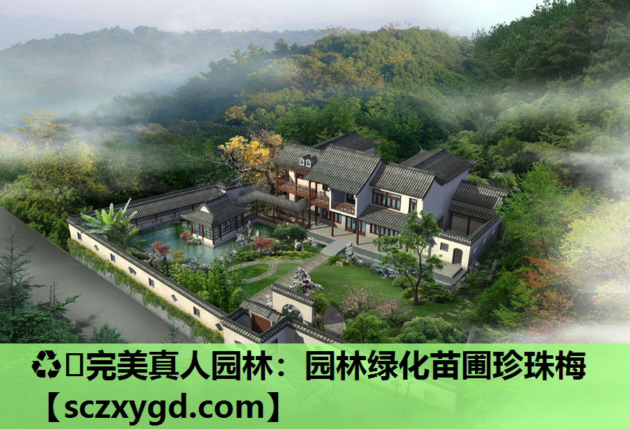 ♻️完美真人园林：园林绿化苗圃珍珠梅