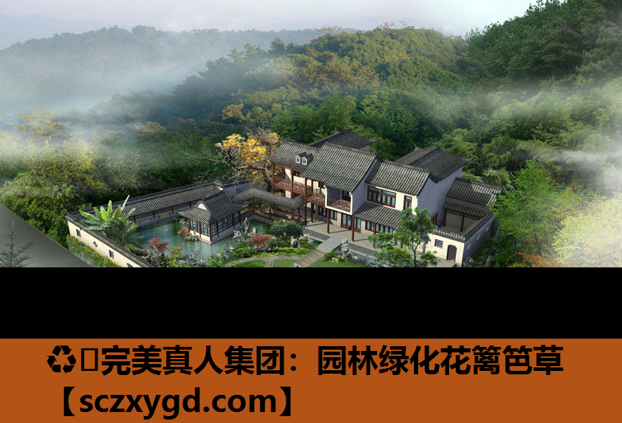 ♻️完美真人集团：园林绿化花篱笆草