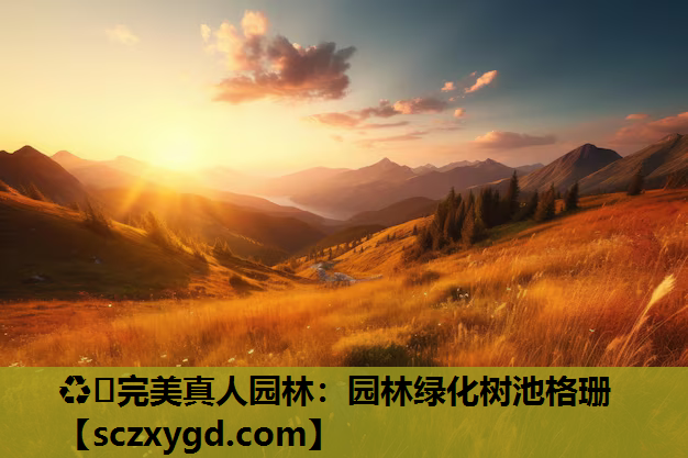 ♻️完美真人园林：园林绿化树池格珊