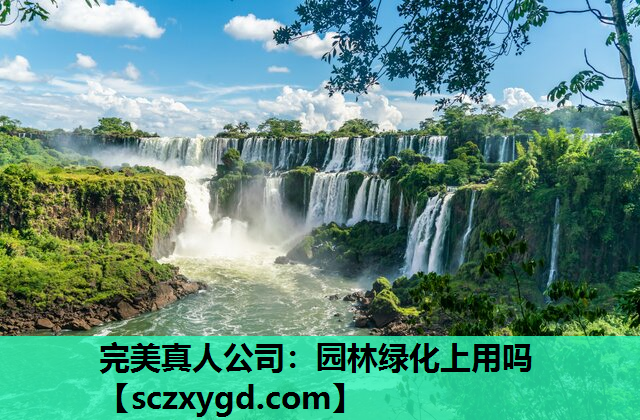 完美真人公司：园林绿化上用吗