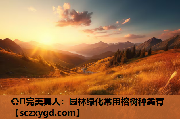 ♻️完美真人：园林绿化常用榕树种类有