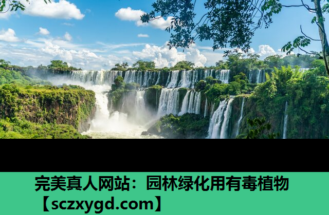 完美真人网站：园林绿化用有毒植物