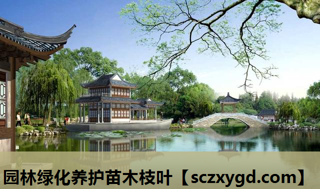 园林绿化养护苗木枝叶