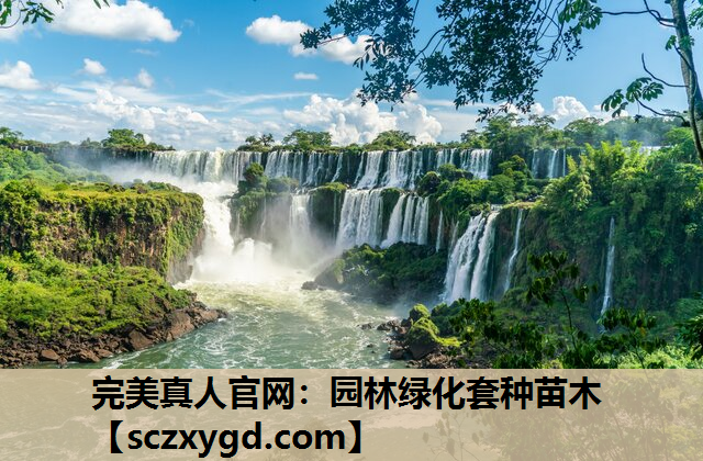 完美真人官网：园林绿化套种苗木