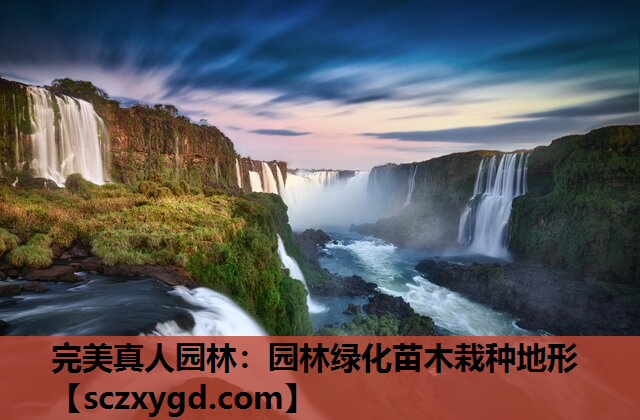 完美真人园林：园林绿化苗木栽种地形