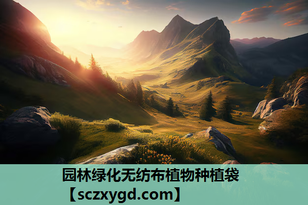 园林绿化无纺布植物种植袋