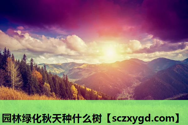 园林绿化秋天种什么树
