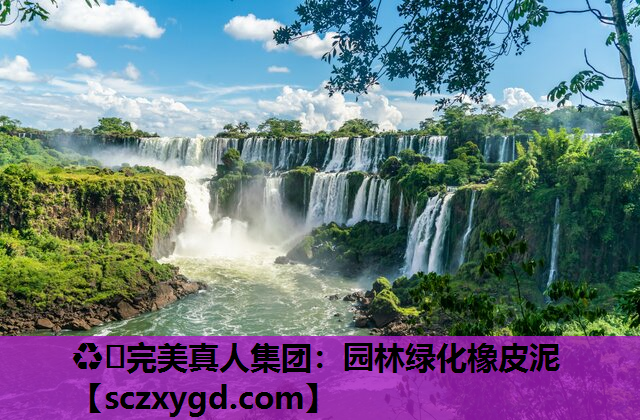 ♻️完美真人集团：园林绿化橡皮泥