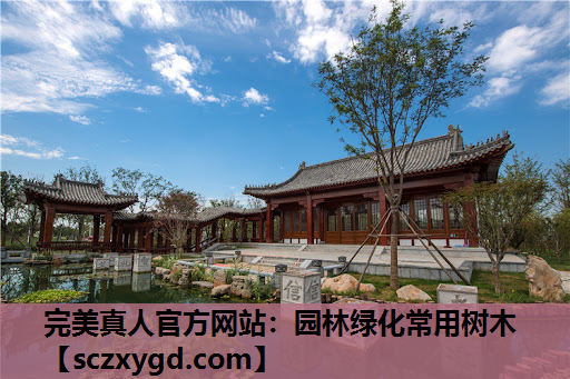 完美真人官方网站：园林绿化常用树木