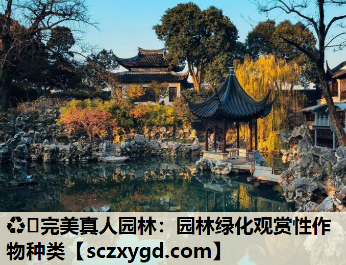 ♻️完美真人园林：园林绿化观赏性作物种类