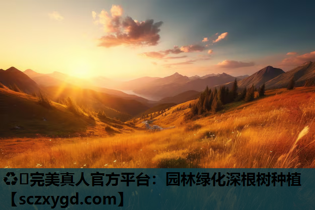 ♻️完美真人官方平台：园林绿化深根树种植