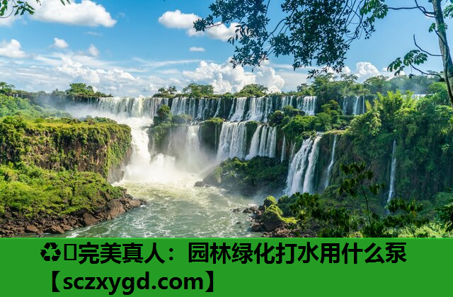 园林绿化打水用什么泵