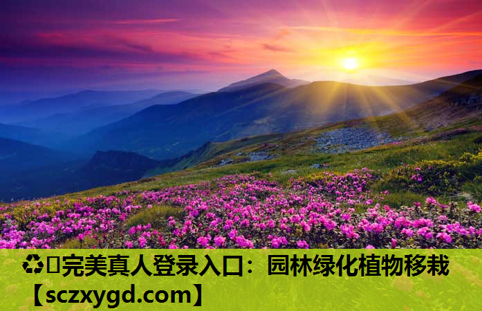 园林绿化植物移栽