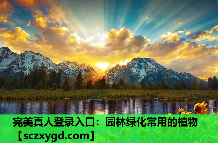 园林绿化常用的植物