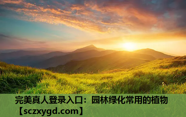 园林绿化常用的植物
