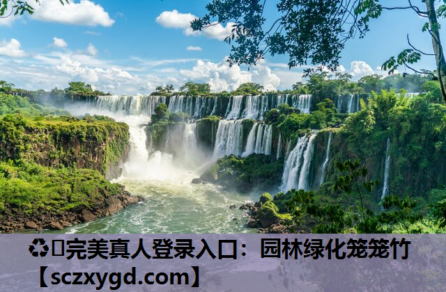 园林绿化笼笼竹