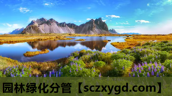 园林绿化分管