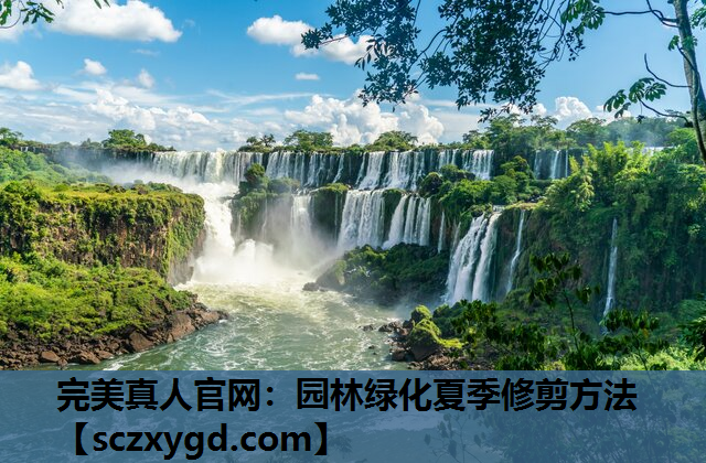 园林绿化夏季修剪方法