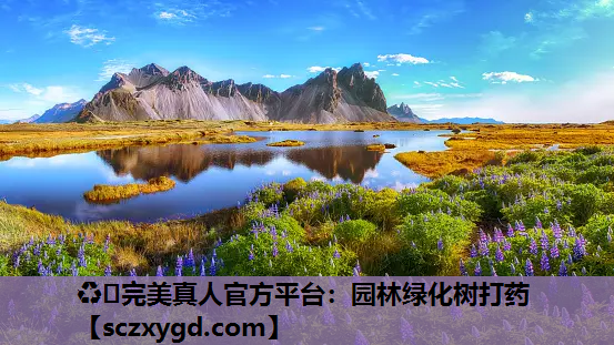 园林绿化树打药