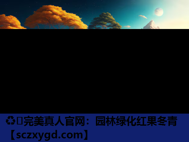 园林绿化红果冬青