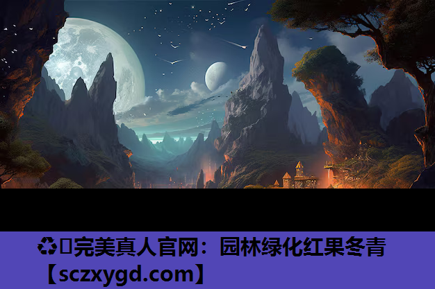 园林绿化红果冬青