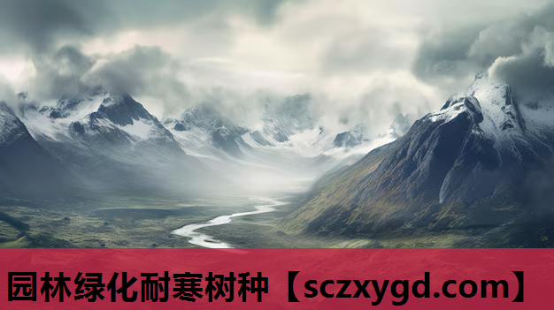 园林绿化耐寒树种
