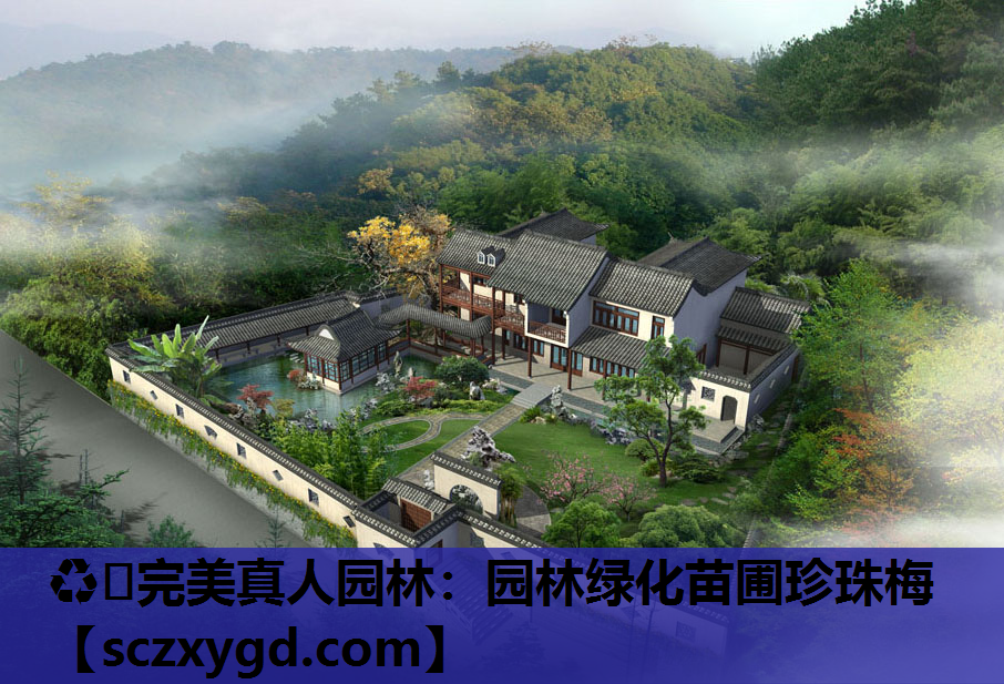 园林绿化苗圃珍珠梅