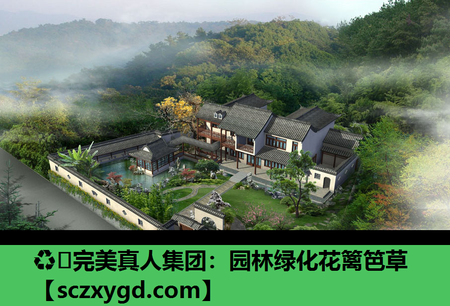 园林绿化花篱笆草