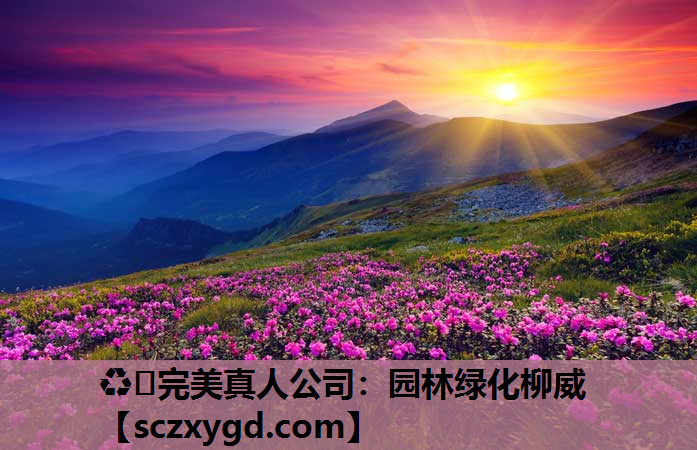 园林绿化柳威