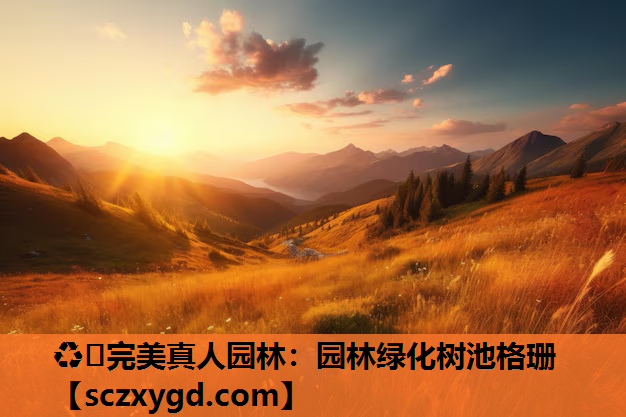 园林绿化树池格珊