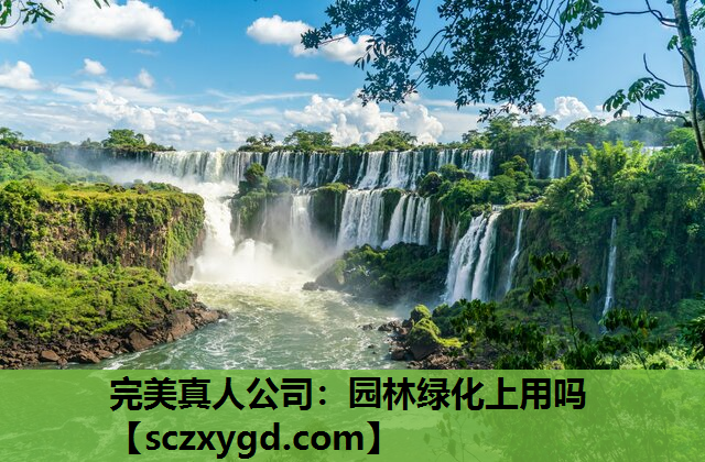 园林绿化上用吗