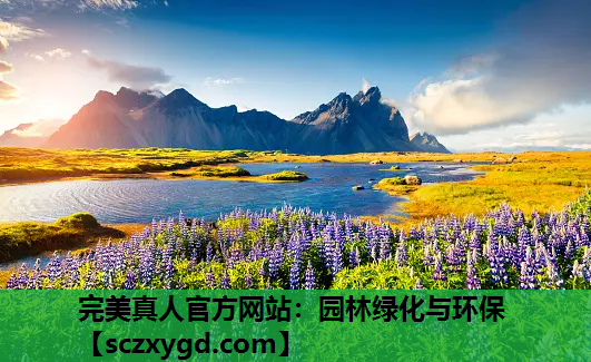园林绿化与环保