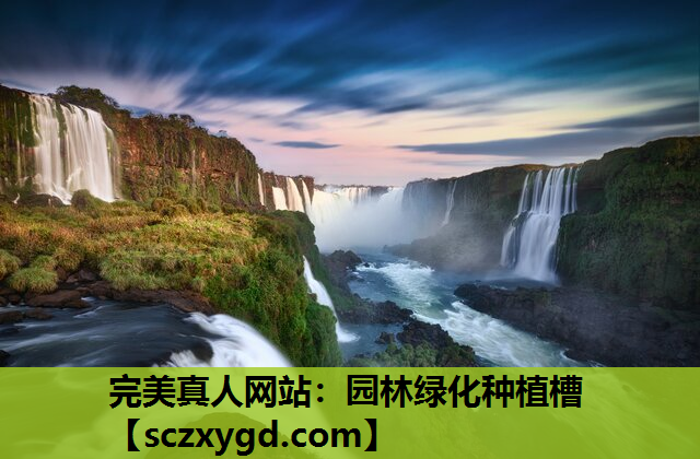 园林绿化种植槽