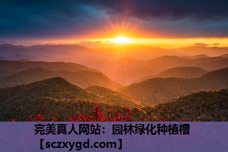 园林绿化种植槽