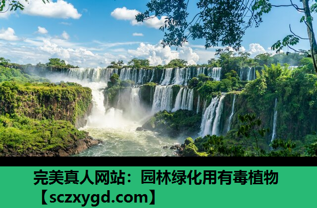园林绿化用有毒植物