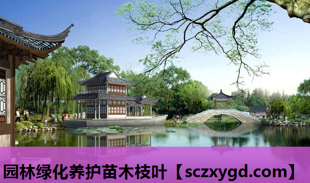 园林绿化养护苗木枝叶
