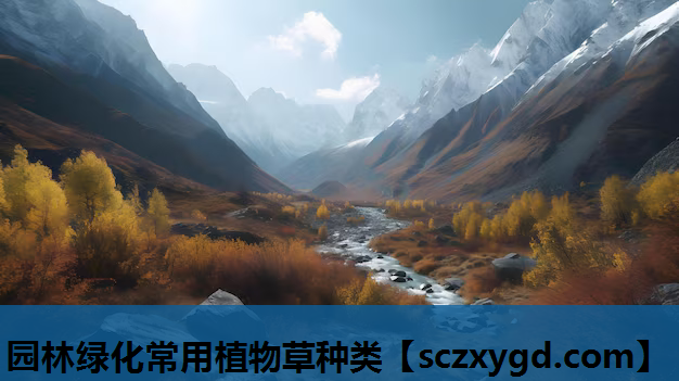 园林绿化常用植物草种类