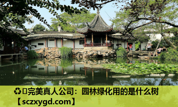 园林绿化用的是什么树