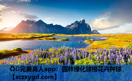 园林绿化球根花卉种球