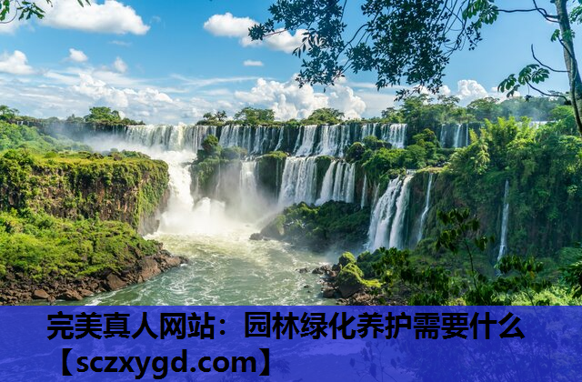 园林绿化养护需要什么